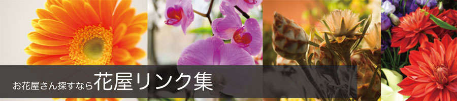 全国のお花屋さんが見つかるサイト「お花屋さん探しなら花屋リンク集